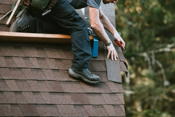 Best Residential Roof Replacement  in Lake City, GA